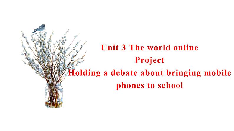 Unit 3 The world online Project 课件-高一英语牛津译林版必修第三册01