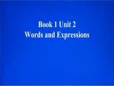 人教版（2019）必修一  Unit 2 Words and Expressions 课件