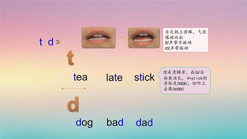 专题02 国际音标之辅音-2021-2022学年课件PPT第5页