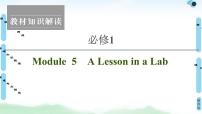 2022版高考英语（外研版）一轮复习课件：必修1 Module 5 A Lesson in a Lab