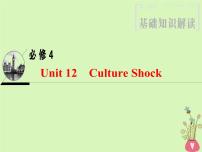 2022版高三英语一轮复习课件： 第1部分 基础知识解读 Unit 12 Culture Shock课件 北师大版必修4