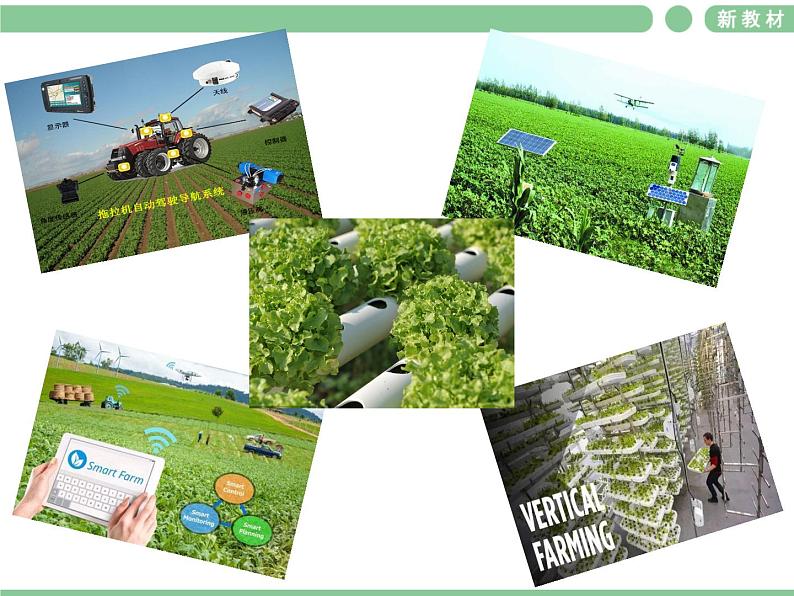 人教版（2019）英语高中选择性必修第一册 Unit 5 Video Time课件PPT05