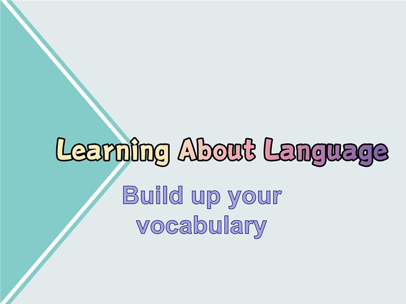 人教版（2019）英语高中选择性必修第一册 Unit1 Learning about language课件PPT02