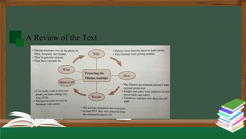 高一英语 新人教版 必修2 Unit2 Wildlife Protection Reading and Thinking(2)-课件03