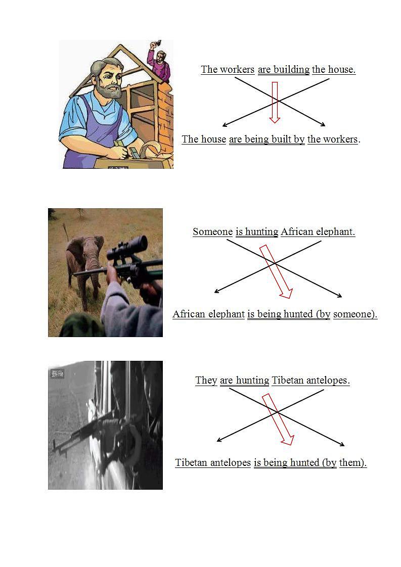 人教版英语必修第二册：2.3《Discovering Useful Structure》教学设计02