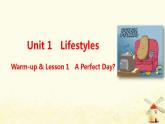 北师大版高一英语必修1课堂优化课件 Unit 1 Lifestyles Warm-up & Lesson 1 A Perfect Day(共52张PPT)