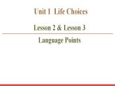 北师大版（2019版)高中英语必修一 课件 Unit 1 Lesson 2&3