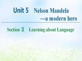 人教版高中英语必修1 Unit 5 Nelson Mandel -- a modern hero SectionⅡ Learning about Language 课件