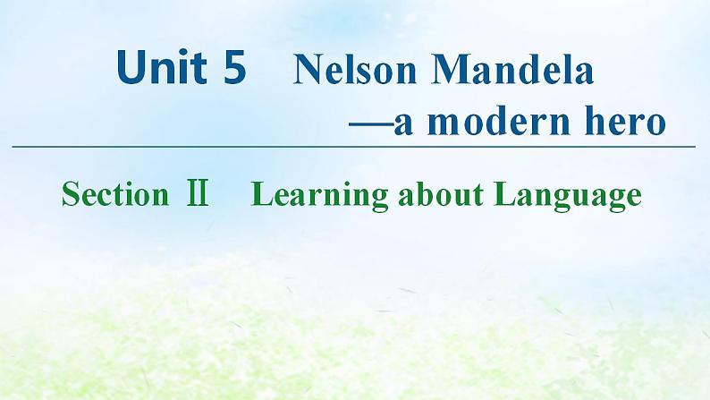 人教版高中英语必修1 Unit 5 Nelson Mandel -- a modern hero SectionⅡ Learning about Language 课件01