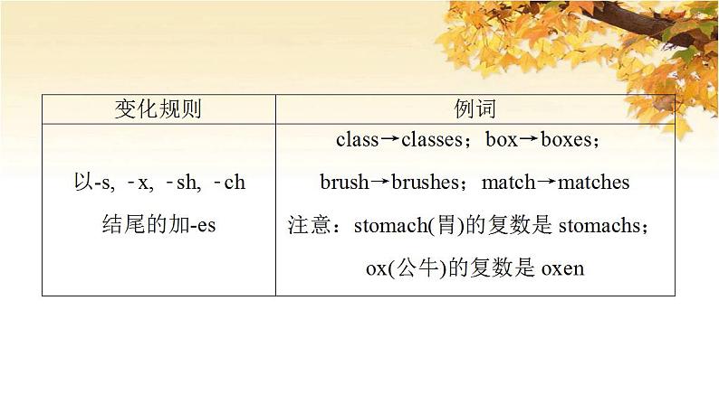 高考英语一轮复习语法专项突破2需要“变形”的名词数词形容词和副词第1讲名词和数词课件外研版第5页