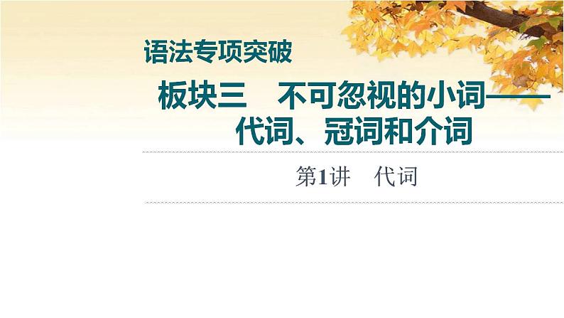 高考英语一轮复习语法专项突破3不可忽视的小词_代词冠词和介词第1讲代词课件外研版01