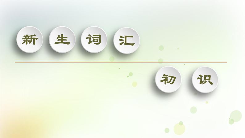 北师大版高中英语必修1课件 Unit 1 Section Ⅴ Reading (Ⅲ)(Writing Workshop)02