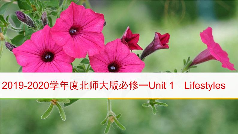 北师大版高中英语必修一课件 Unit 1 Lifestyles Period FiveCommunication Workshop，Culture 课件（31张）01