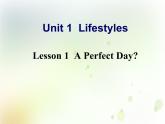 北师大版高中英语模块1课件  unit 1 lifestyles lesson 1 a perfect day课件（20张）