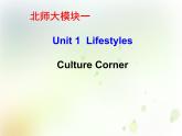 北师大版高中英语模块1课件  unit 1 Lifestyles culture conner课件（22张）