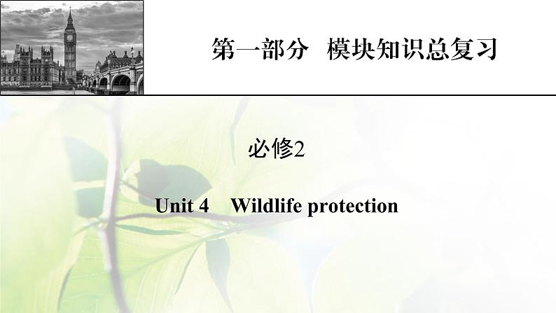 高考英语一轮总复习模块知识必修2Unit4Wildlifeprotection课件新人教版01