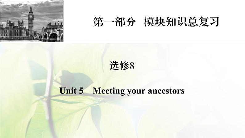 高考英语一轮总复习模块知识选修8Unit5Meetingyourancestors课件新人教版01