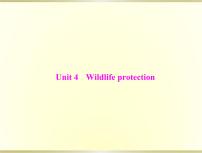 高考英语总复习必修2Unit4Wildlifeprotection课件