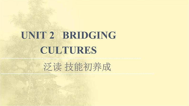 高中英语UNIT2BRIDGINGCULTURES泛读技能初养成课件新人教版选择性必修第二册第1页