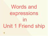 人教版高中英语必修1unit_1_friendship_words课件PPT