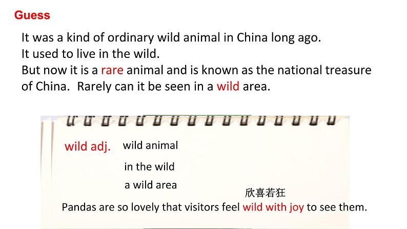 人教版 必修2 Unit 4 wildlife protection learning about language课件PPT第2页