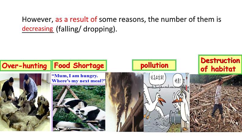 人教版 必修2 Unit 4 wildlife protection learning about language课件PPT第3页