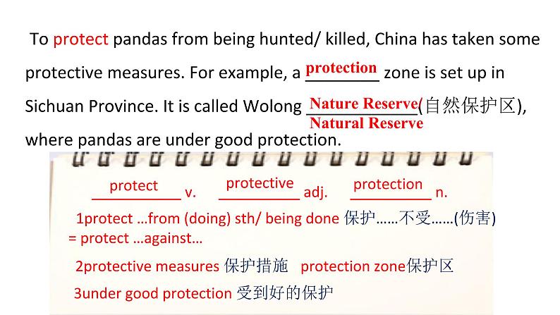 人教版 必修2 Unit 4 wildlife protection learning about language课件PPT第8页