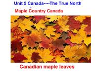 人教版 (新课标)必修3&4Unit 5 Canada – “The True North”课文内容课件ppt