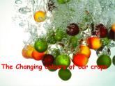 牛津上海版高中一年级第一学期Unit 6 Fun food The Changing colours of our crops课件