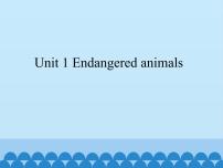 牛津上海版高三下册Unit 1 Endangered Animals图文课件ppt