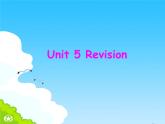 Unit 5 The power of nature Revision 课件-2021-2022学年高中英语人教新课标选修六