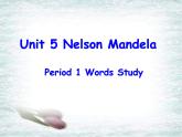 人教版必修一Unit5 Nelson Mandela----Words study课件