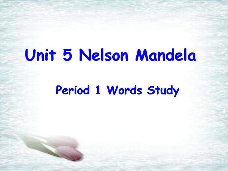 人教版必修一Unit5 Nelson Mandela----Words study课件第1页