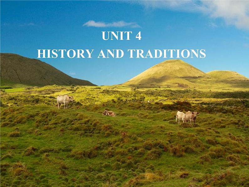 2020-2021学年高中英语 新人教版必修第二册  Unit 4 History and traditions课件（27张）第2页