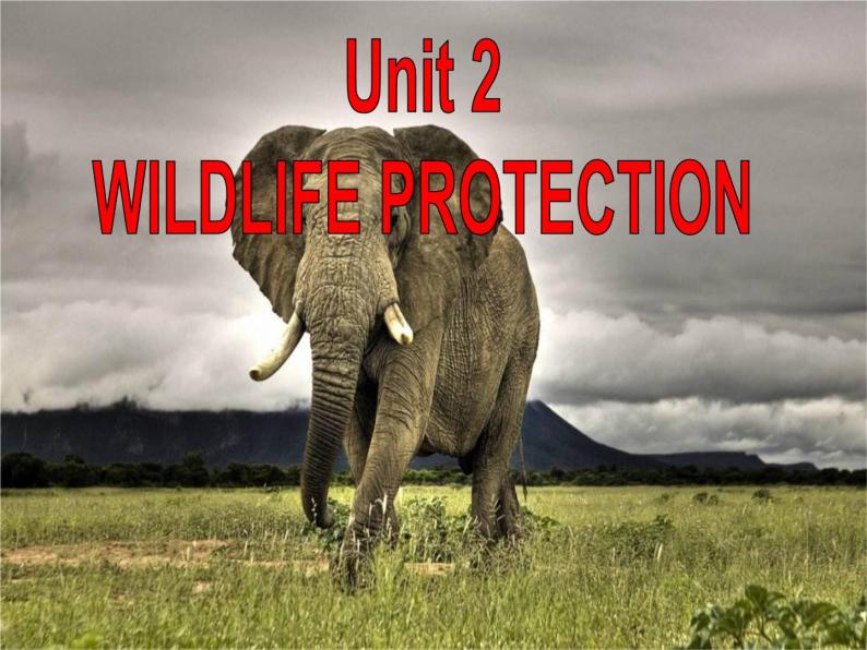 2020-2021学年高中英语新人教版必修第二册 Unit2 Wildlife Protection Listening and Speaking课件（52张）02