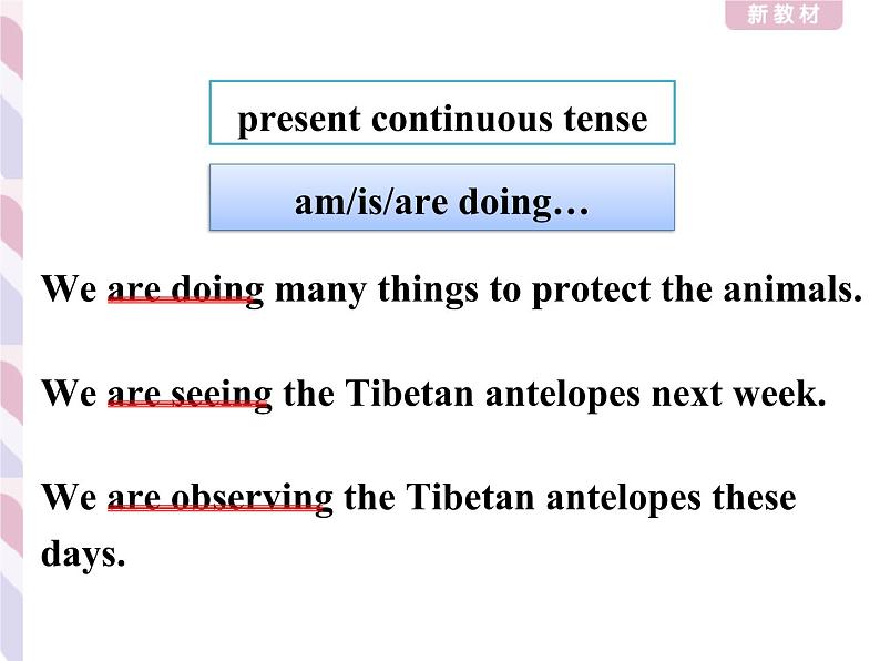 2020-2021学年高中英语新人教版必修第二册 Unit2 Wildlife Protection Discovering Useful Structures课件（41张）06