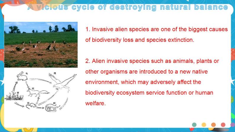 Unit5 Adelicate world Period1 Starting out and understanding ideas课件08