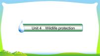 人教版高考英语总复习必修2Unit4Wildlife protection完美课件PPT