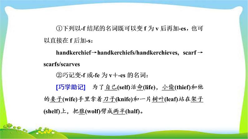 高考英语语法经典复习专题一名词与冠词课件PPT04