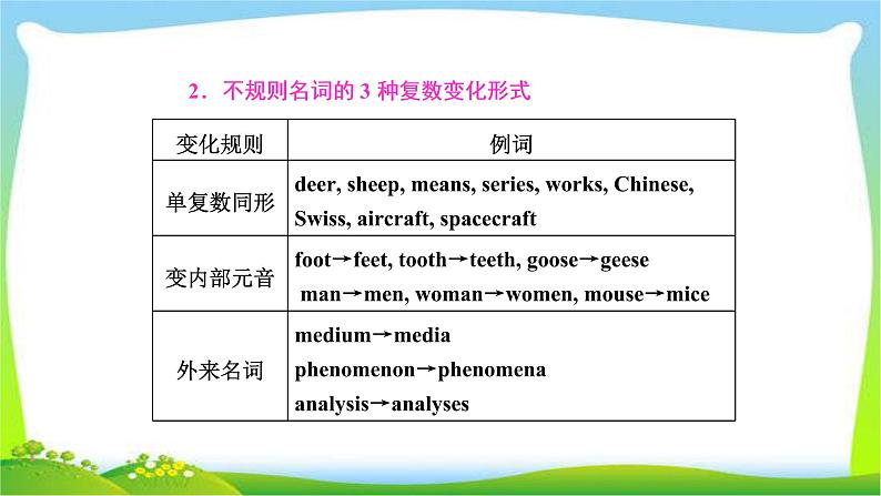 高考英语语法经典复习专题一名词与冠词课件PPT05