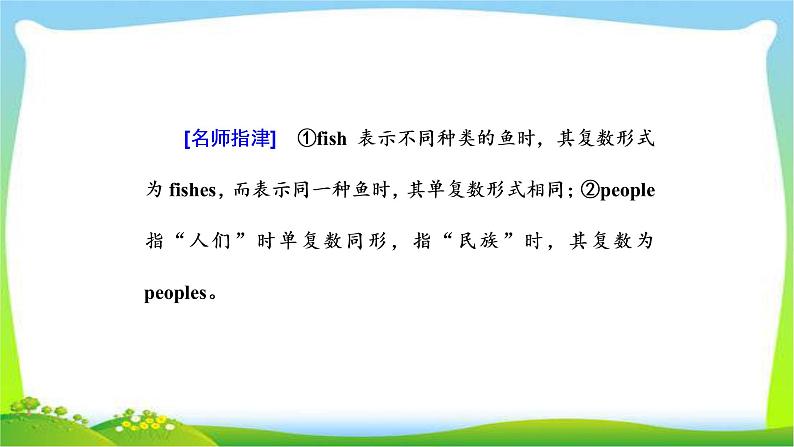 高考英语语法经典复习专题一名词与冠词课件PPT06