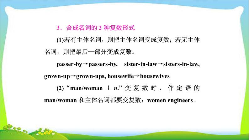 高考英语语法经典复习专题一名词与冠词课件PPT07