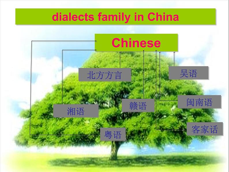 高一英语人教版必修1精选课件《Unit 2 English around the world》Reading II课件第3页