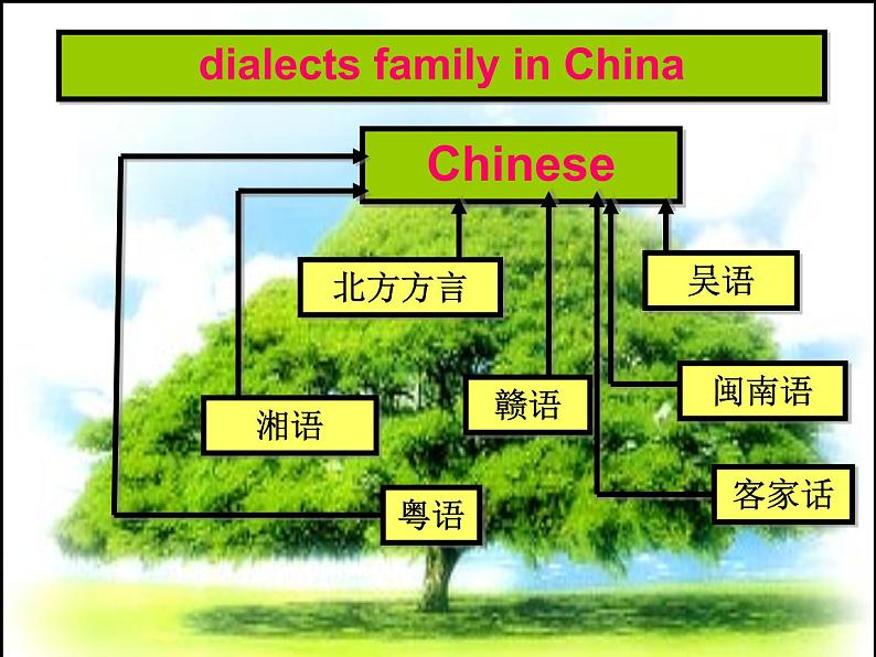 江西省井冈山中学高一英语人教版必修1《unit 2 English around the worldr》using language课件第2页