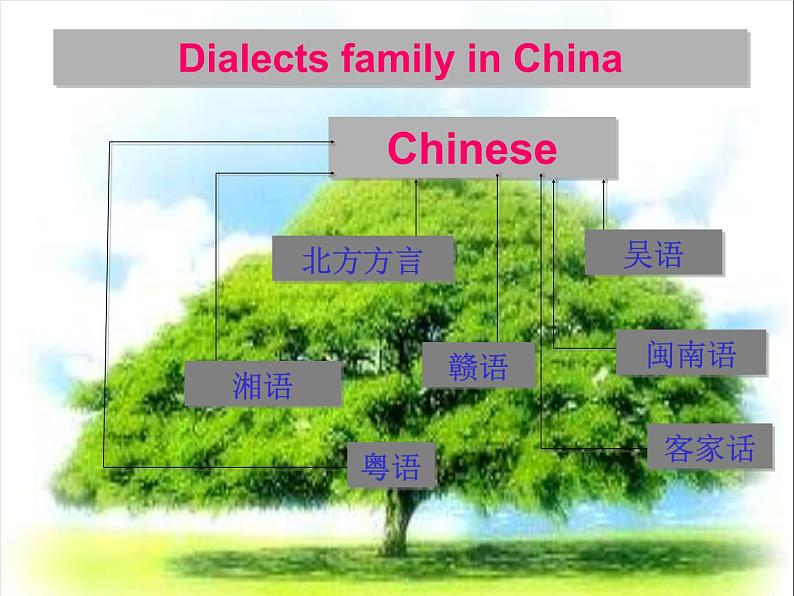 浙江省安吉县振民中学高一英语人教版必修1《Unit 2 English around the world》using language 课件1第3页