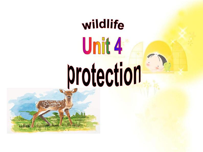 高一英语人教版必修2精选课件《Unit 4 Wildlife protection》Warming up课件第1页