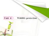 高考英语人教版必修2Unit4《Wildlife protection》知识与要点课件PPT