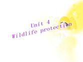 英语人教版必修2 4.8Unit4《Wildlife protection》课件