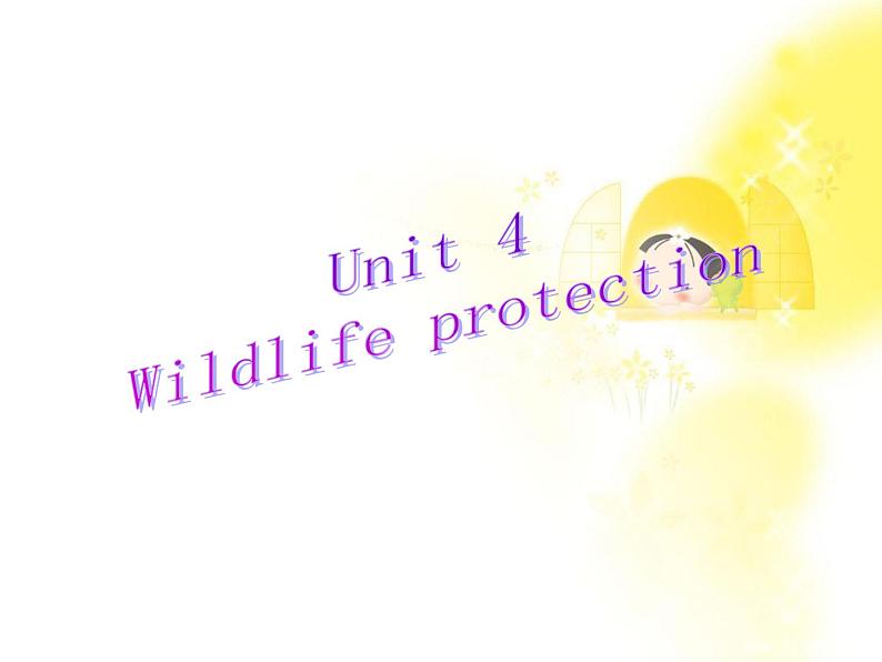 英语人教版必修2 4.8Unit4《Wildlife protection》课件02