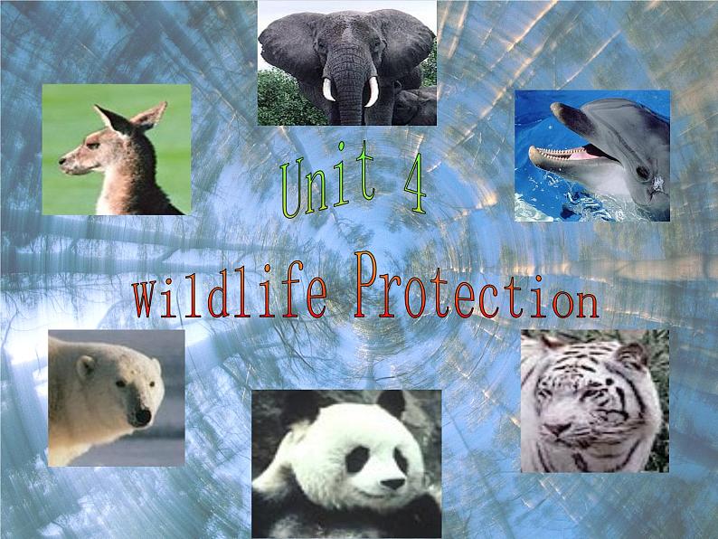 英语人教版必修2 4.5Unit4《wildlife protection》课件02